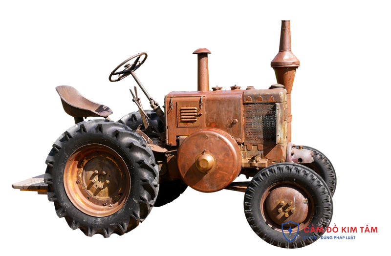 Cầm cà vẹt: Những điều cần biết và quy trình thực hiện hiệu quả