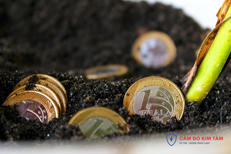 Cầm đồ quá hạn có ảnh hưởng đến tín dụng không? Những điều cần biết Cầm đồ quá hạn có ảnh hưởng đến tín dụng không? Những điều cần biết