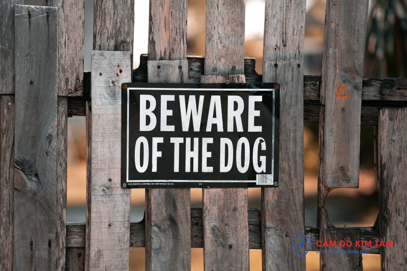 Cầm nhà đất tại Lâm Đồng: Những điều cần biết và lưu ý khi thực hiện giao dịch Cầm nhà đất tại Lâm Đồng: Những điều cần biết và lưu ý khi thực hiện giao dịch