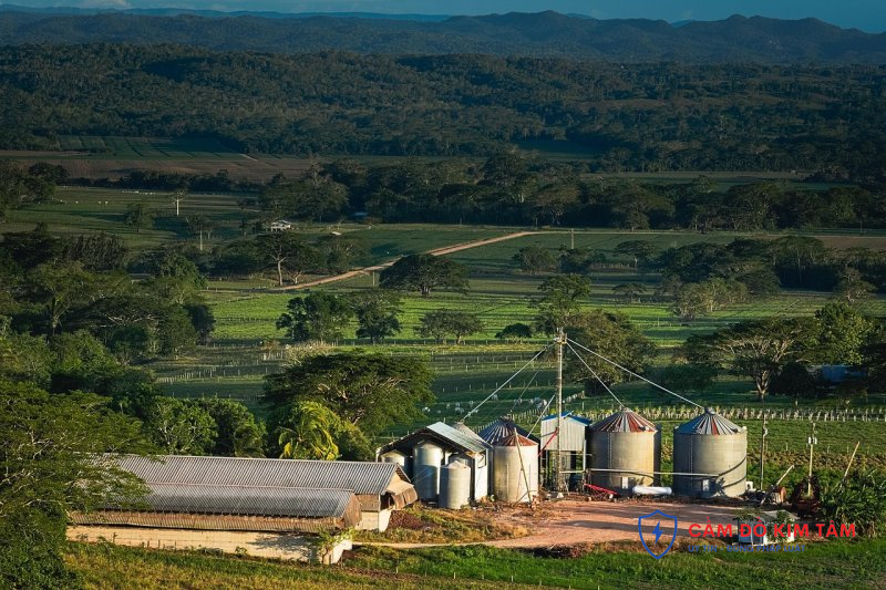 Cầm nhà đất tại Phú Thọ: Những điều cần biết và quy trình thực hiện Cầm nhà đất tại Phú Thọ: Những điều cần biết và quy trình thực hiện