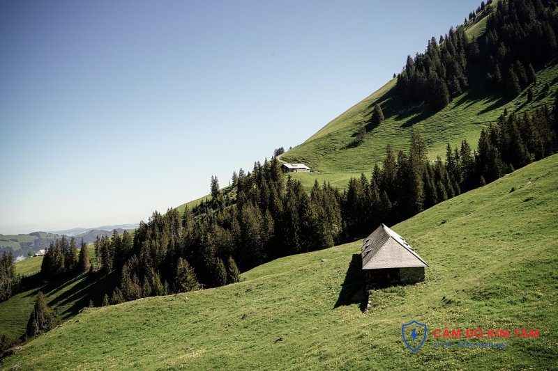 Cầm sổ đỏ tại Bà Rịa - Vũng Tàu: Quy trình và lưu ý quan trọng