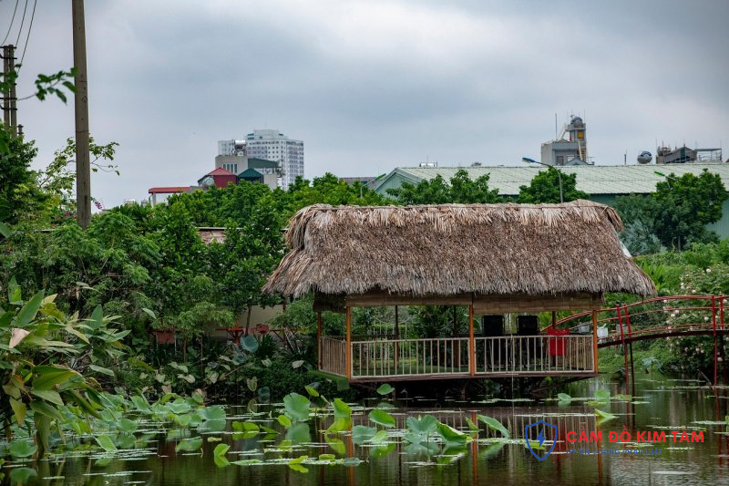 Cầm sổ đỏ tại Khánh Hòa: Quy trình và những điều cần lưu ý Cầm sổ đỏ tại Khánh Hòa: Quy trình và những điều cần lưu ý
