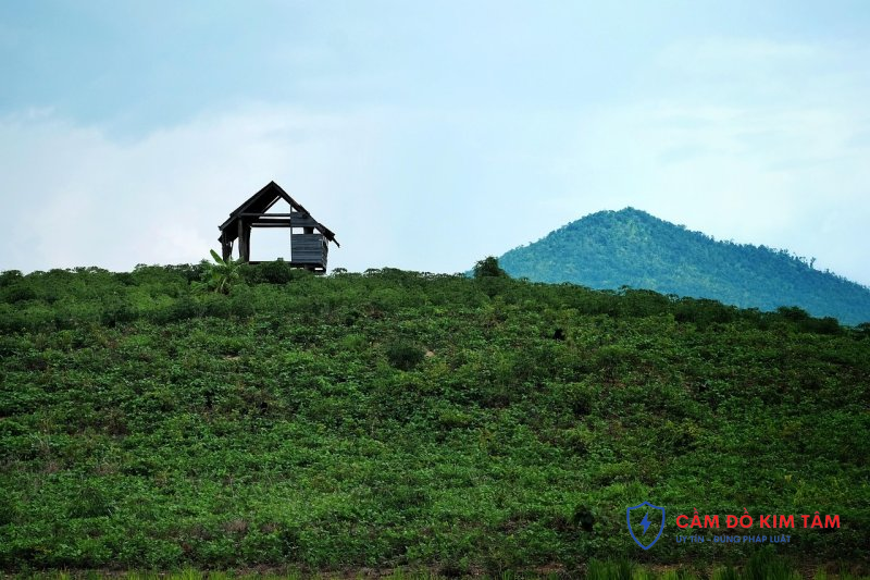 Cầm sổ đỏ tại Ninh Bình: Quy trình và lưu ý cần biết