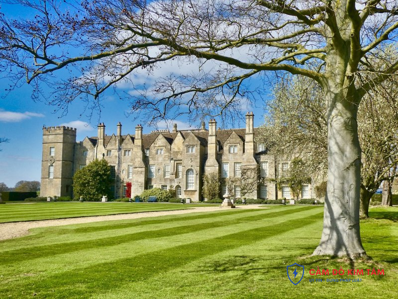 Dịch vụ cam nha đất: Lợi ích và hướng dẫn sử dụng hiệu quả