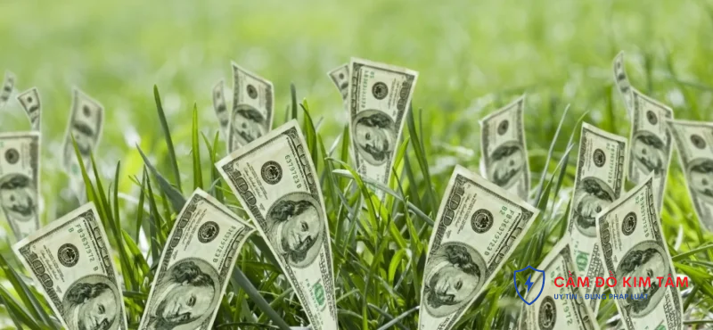 Giải pháp cầm đồ gấp an toàn và hiệu quả cho nhu cầu tài chính khẩn cấp