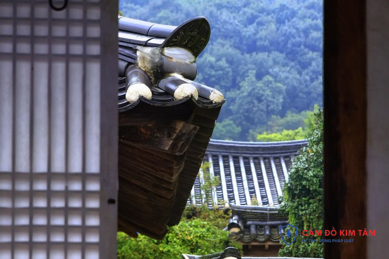 Hướng dẫn cầm sổ đỏ tại Cần Thơ hiệu quả và an toàn Hướng dẫn cầm sổ đỏ tại Cần Thơ hiệu quả và an toàn