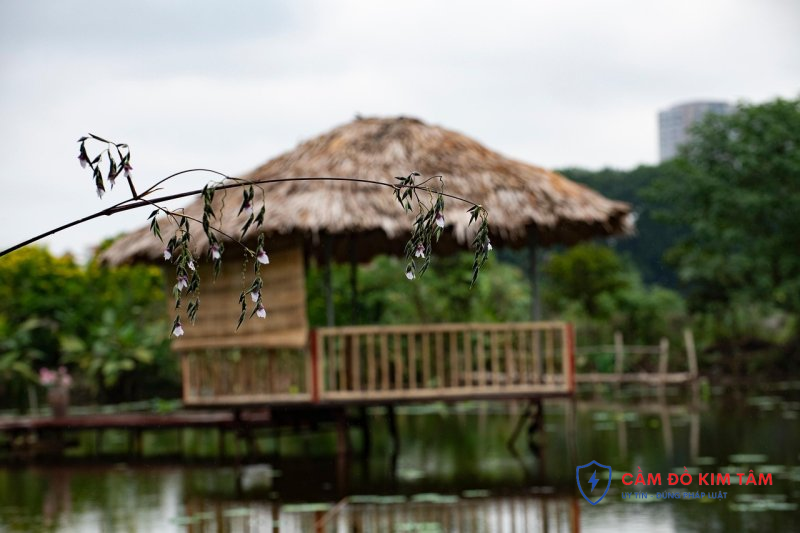 Hướng dẫn cầm sổ đỏ tại Lâm Đồng hiệu quả và an toàn Hướng dẫn cầm sổ đỏ tại Lâm Đồng hiệu quả và an toàn