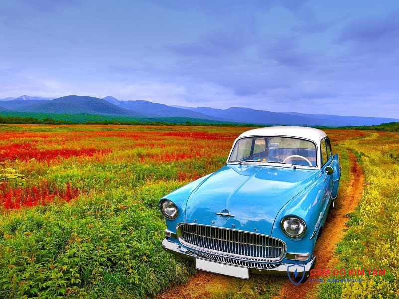 Tư vấn cầm cavet xe ô tô miễn phí cho chủ xe tại Việt Nam