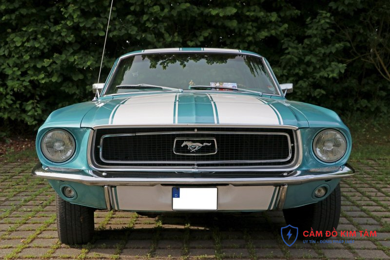 Xe trả góp có cầm cà vẹt được không những điều cần biết